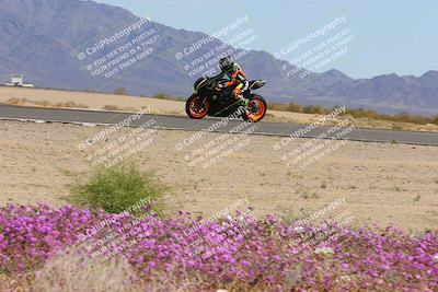 media/Mar-12-2023-SoCal Trackdays (Sun) [[d4c8249724]]/Turn 15 Inside Bloom (130pm)/